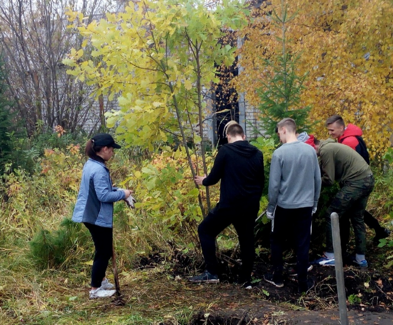 "Деревья - легкие нашей планеты". 01.10.2019 "Деревья - легкие нашей планеты". 01.10.2019