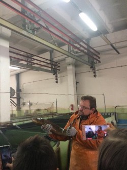 27.09.2019. Экскурсия на Солзенский производственно-экспериментальный лососевый завод. 27.09.2019. Экскурсия на Солзенский производственно-экспериментальный лососевый завод.