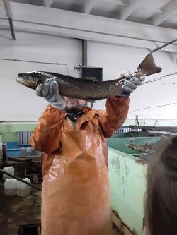 27.09.2019. Экскурсия на Солзенский производственно-экспериментальный лососевый завод. 27.09.2019. Экскурсия на Солзенский производственно-экспериментальный лососевый завод.