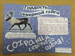 Рисунки, посвященные к Дню дикого северного оленя. 01.02.2020 Рисунки, посвященные к Дню дикого северного оленя. 01.02.2020