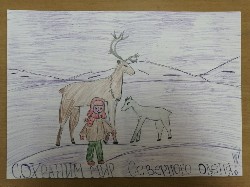 Рисунки, посвященные к Дню дикого северного оленя. 01.02.2020 Рисунки, посвященные к Дню дикого северного оленя. 01.02.2020